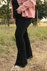 The Bella Button Fly Flares, Black